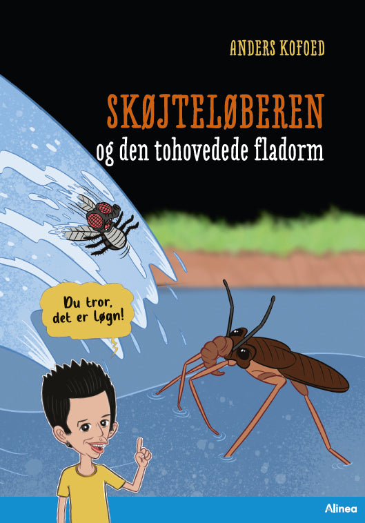 Forside billede
